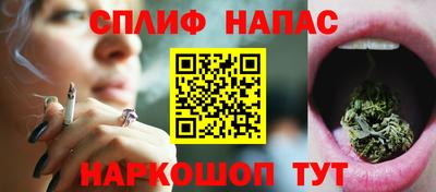 ешки Моздок