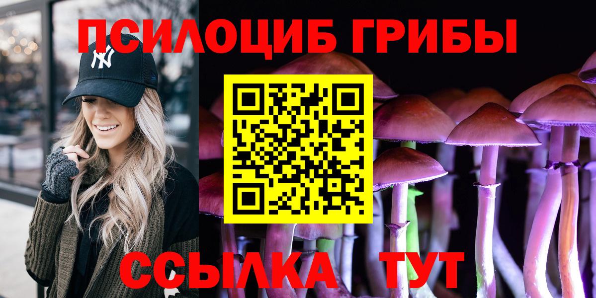 Псилоцибиновые грибы мухоморы Великие Луки